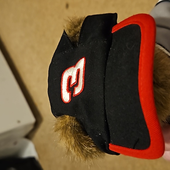 Boyd's Bears Nascar "Jeff Gordon" - Picture 4 of 10